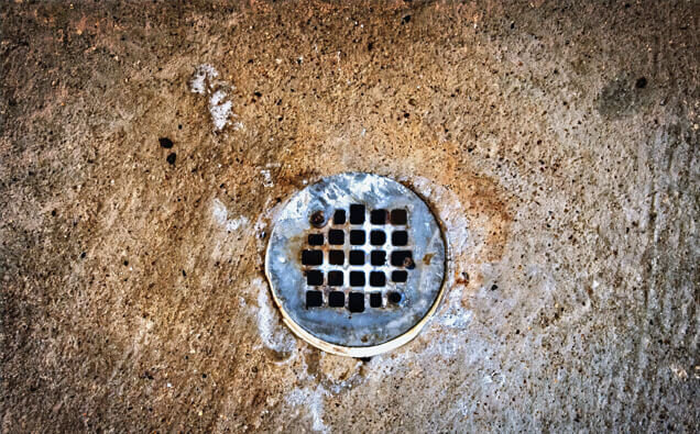 https://blockeddrainstapping.com.au/uploads/2025/07/blocked-shower-drains-20432.jpg
