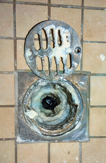 https://blockeddrainstapping.com.au/uploads/2025/07/blocked-shower-drains-86331.jpg