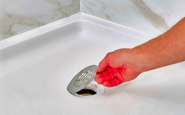 https://blockeddrainstapping.com.au/uploads/2025/07/blocked-shower-drains-90992.jpg